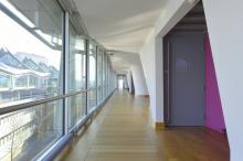 Vlinderpaleis Antwerpen